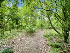 DIXON WAY - click for photo gallery